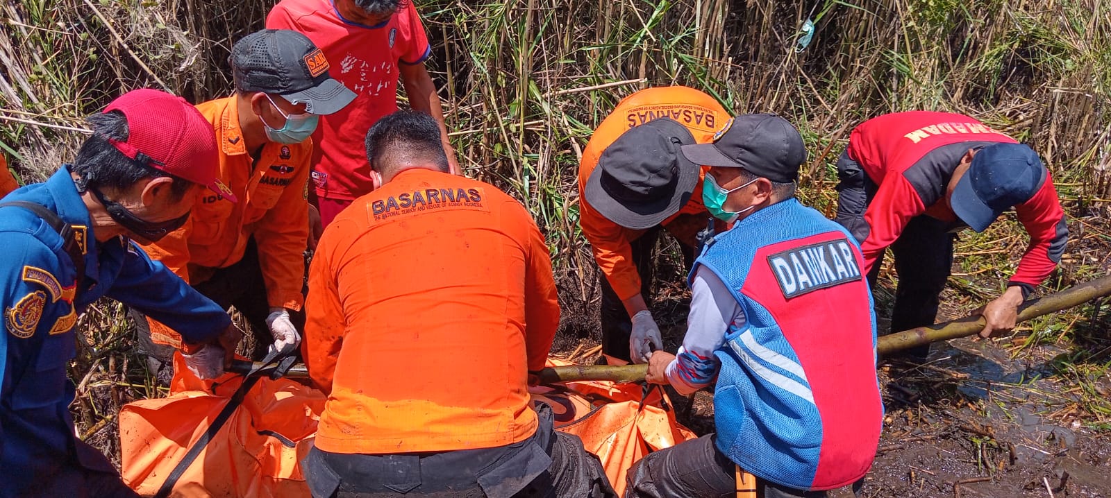 Mancing